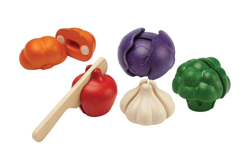 De Kinderwinkel Plan Toys 5-kleuren groenten Set