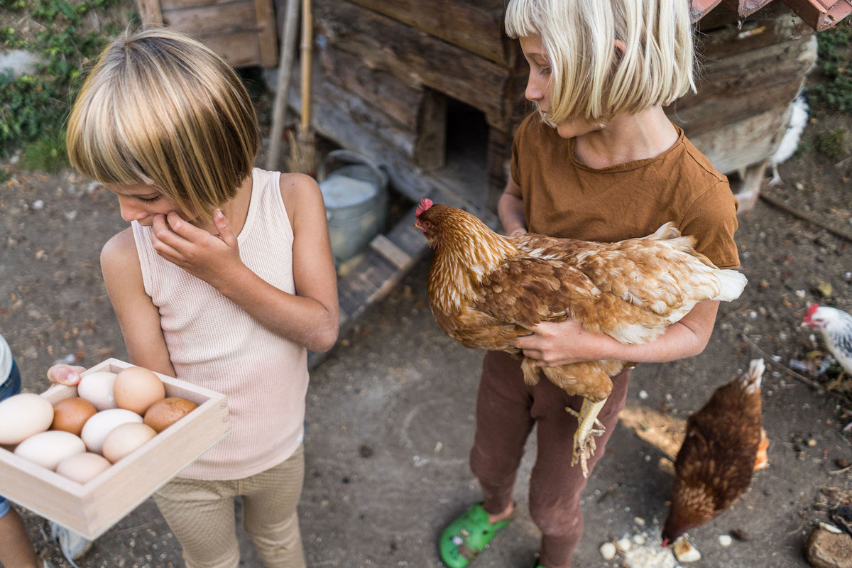 De Kinderwinkel Grapat Sorteerdoos
