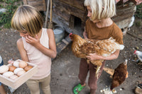 De Kinderwinkel Grapat Sorteerdoos