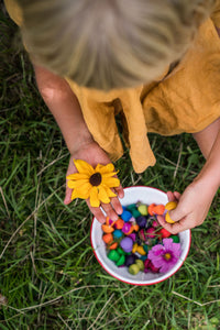 De Kinderwinkel Grapat Mandala Paddestoelen Rainbow